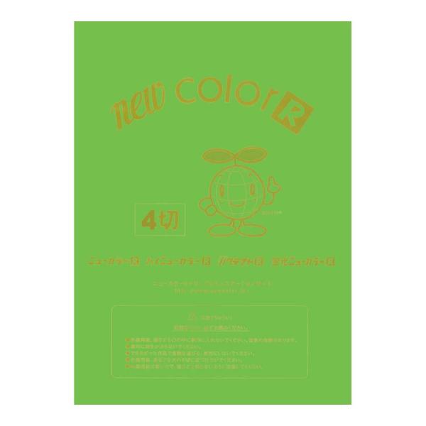 画用紙 色画用紙 ニューカラーR  リンテック GO4NCR-238