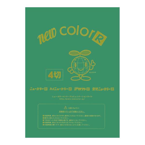 画用紙 色画用紙 ニューカラーR  リンテック GO4NCR-321