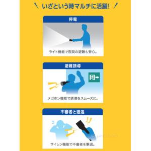 LEDライト 懐中電灯 ハンディライト 電池式...の詳細画像3