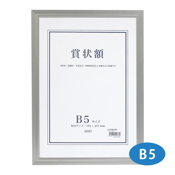 額縁 賞状額 セリオ アルミ B5サイズ 賞状入れ 表彰状 卒業証書 認定証 許可証 感謝状 フレー...