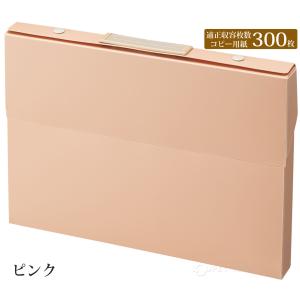 ケースファイル A4クリヤーホルダー 収納 ペ...の詳細画像1