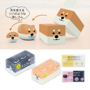 三和 還元粋RWシリーズ用 [PFAS12,000L/80％除去]PREMIUM マイクロ
