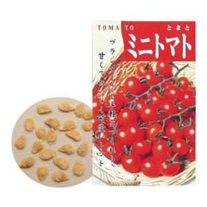 知育玩具 野菜の種 ミニトマト 種 たね 野菜 ミニトマトのたね ガーデニング 菜園 栽培 学習教材 理科