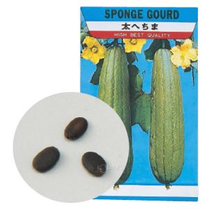 野菜の種 ヘチマ 種 たね 野菜 ヘチマのたね...の詳細画像2