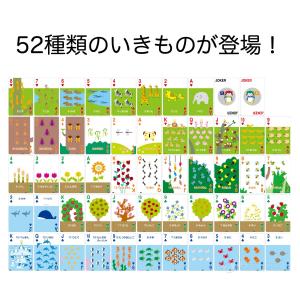 トランプ つながる 知育トランプ 知育玩具 ゲ...の詳細画像4