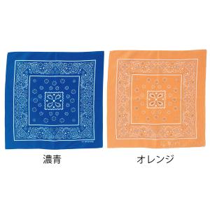 バンダナ ペイズリー柄 ヘアバンド 三角巾 キ...の詳細画像5
