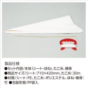 ぐんぐん凧 凧揚げ おもちゃ 正月 凧揚げ 保...の詳細画像4