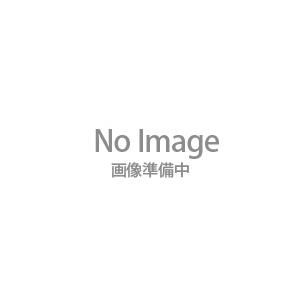 ニクロム線 φ0.32x300mm 図工 理科 工作 学校 教材 技術 電子 ロボット 小学生 クラフト