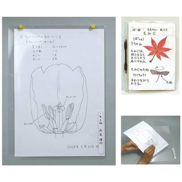 透明掲示ホルダー A4 掲示用品 学校 教材 作品 展示 クリア ホルダー 図工 工作 クラフト 自...