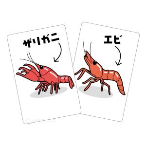 絵 神経衰弱カードの商品一覧 通販 Yahoo ショッピング