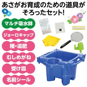 あさがお栽培セット 鉢 青 受け皿 小学生 夏...の詳細画像1