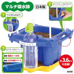 あさがお栽培セット 鉢 青 受け皿 小学生 夏...の詳細画像2