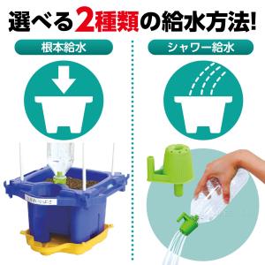 あさがお栽培セット 鉢 青 受け皿 小学生 夏...の詳細画像3