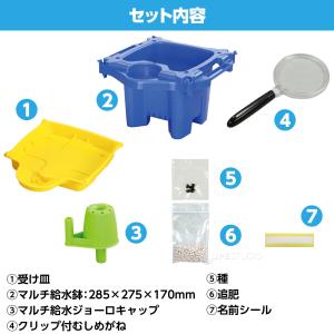 あさがお栽培セット 鉢 青 受け皿 小学生 夏...の詳細画像4