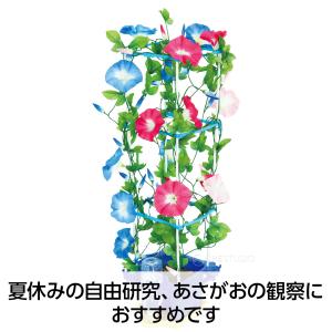 あさがお栽培セット 鉢 青 受け皿 小学生 夏...の詳細画像5