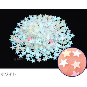 ホログラムグリッター1g 星 ラメ 工作 かわ...の詳細画像2