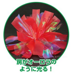ポンポン チア ハンドフリーチアポンポン 運動...の詳細画像5