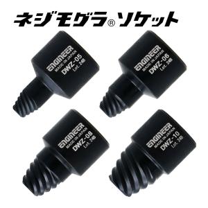 エンジニア ネジモグラソケット DWZ 工具 潰れたヘクスローブネジ(トルクスネジ)の取り外し ENGINEER