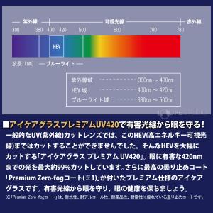サングラス アイケアグラス プレミアム EC-...の詳細画像3