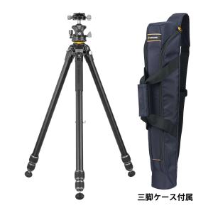 三脚 一眼レフ ALTA PRO 263ALBPSの買取情報