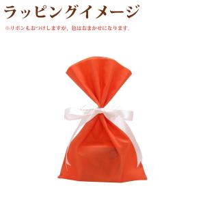 不織布 ラッピング袋 小 S オレンジ ギフト...の詳細画像4