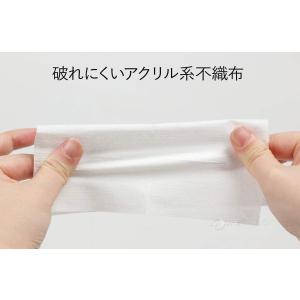 メンテナンスペ-パ- 1パック 10枚入り ケ...の詳細画像5