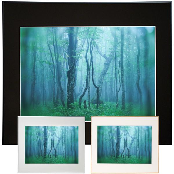 額縁 ギャラリー A2 KENKO ケンコー フォトフレーム アルミ額縁 写真 壁掛け おしゃれ プ...