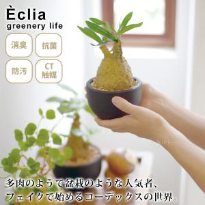 消臭アーティフィシャルグリーン Lサイズ 人工...の詳細画像1