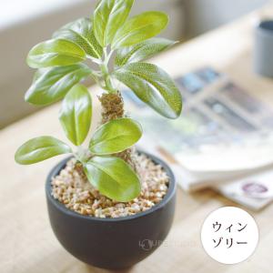 消臭アーティフィシャルグリーン Lサイズ 人工...の詳細画像4