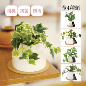 消臭アーティフィシャルグリーン Sサイズ エクリ...の商品画像