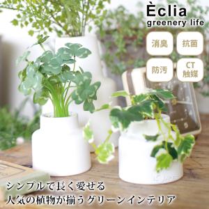 消臭アーティフィシャルグリーン Sサイズ エク...の詳細画像1