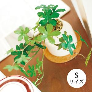 消臭アーティフィシャルグリーン Sサイズ エク...の詳細画像2