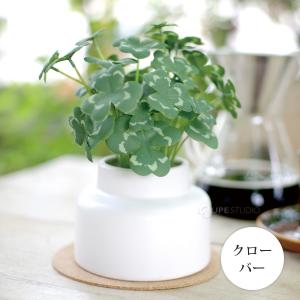 消臭アーティフィシャルグリーン Sサイズ エク...の詳細画像3
