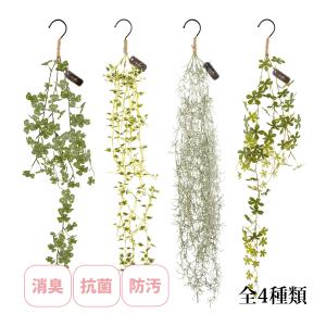 消臭アーティフィシャルグリーン エクリア フック付タイプ キシマ Kishima CT触媒 フェイクグリーン 消臭 人工観葉植物 オブジェ 雑貨 吊り