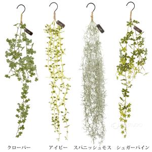 消臭アーティフィシャルグリーン エクリア フッ...の詳細画像2