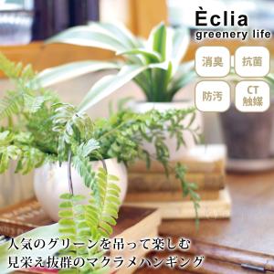 消臭アーティフィシャルグリーン エクリア ハン...の詳細画像1