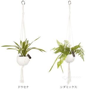 消臭アーティフィシャルグリーン エクリア ハン...の詳細画像2