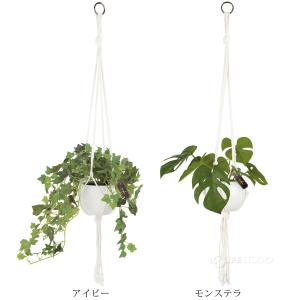 消臭アーティフィシャルグリーン エクリア ハン...の詳細画像3