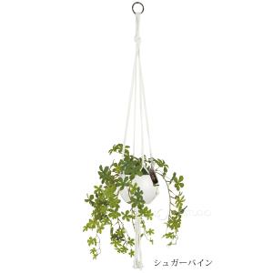 消臭アーティフィシャルグリーン エクリア ハン...の詳細画像5