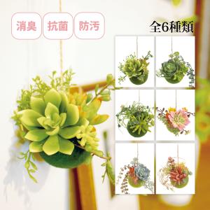 消臭アーティフィシャルグリーン Sサイズ エクリア 多肉ボール キシマ フェイクグリーン 消臭 人工観葉植物 オブジェ 雑貨 吊り下げ アート 装飾