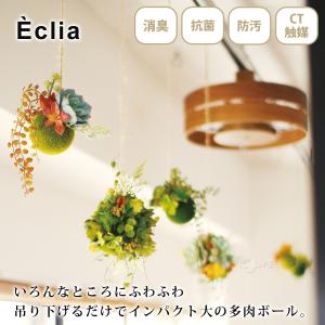 消臭アーティフィシャルグリーン Sサイズ エク...の詳細画像1