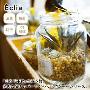 消臭アーティフィシャルグリーン エクリア 多肉...の詳細画像1