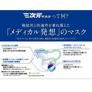 三次元マスク 小さめ ハーブ 5枚入 ほんのり...の詳細画像5