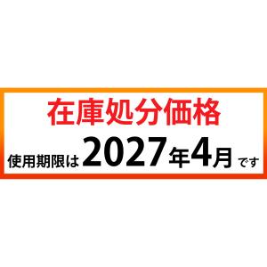 カイロ 足用 ホッカイロ ぬくぬく当番 くつ用...の詳細画像3
