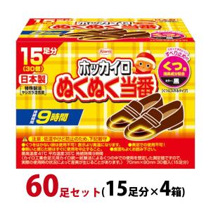 ホッカイロ ぬくぬく当番 くつ用 60足セット(15足分×4箱) 使い捨てカイロ 足 貼らない 靴に入れる 日本製 使用期限：2024年4月