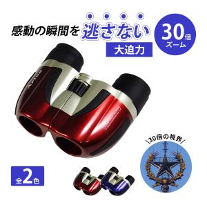 Vixen（ビクセン） 双眼鏡 ズーム コンサート 10倍 - 30倍 21mm ズーム