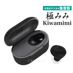 集音器 高齢者 使いやすい 耳穴型集音器 極み...の詳細画像1