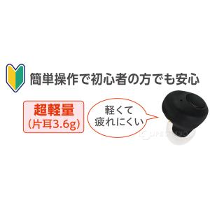 集音器 高齢者 使いやすい 耳穴型集音器 極み...の詳細画像2