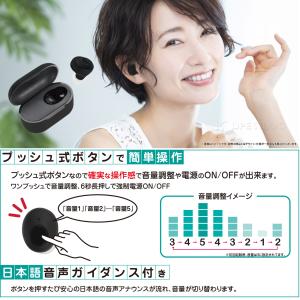 集音器 高齢者 使いやすい 耳穴型集音器 極み...の詳細画像3