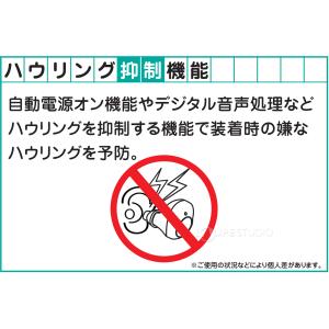 集音器 高齢者 使いやすい 耳穴型集音器 極み...の詳細画像5
